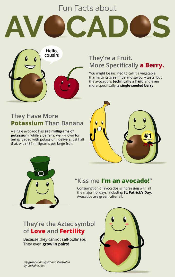 Fun Facts About Avocados